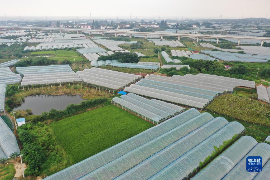 捕鱼游戏赢现金